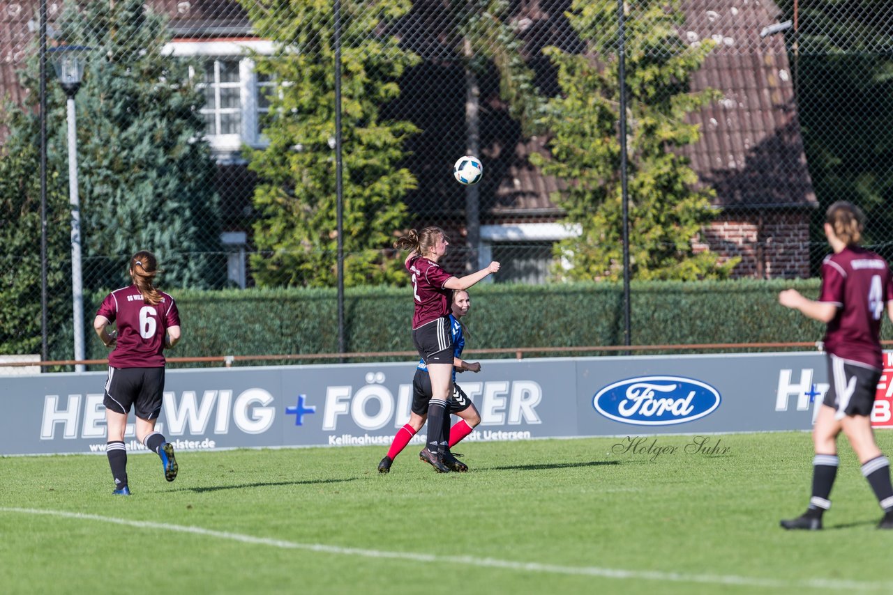 Bild 66 - F VfL Kellinghusen - SG Wilstermarsch II : Ergebnis: 4:2